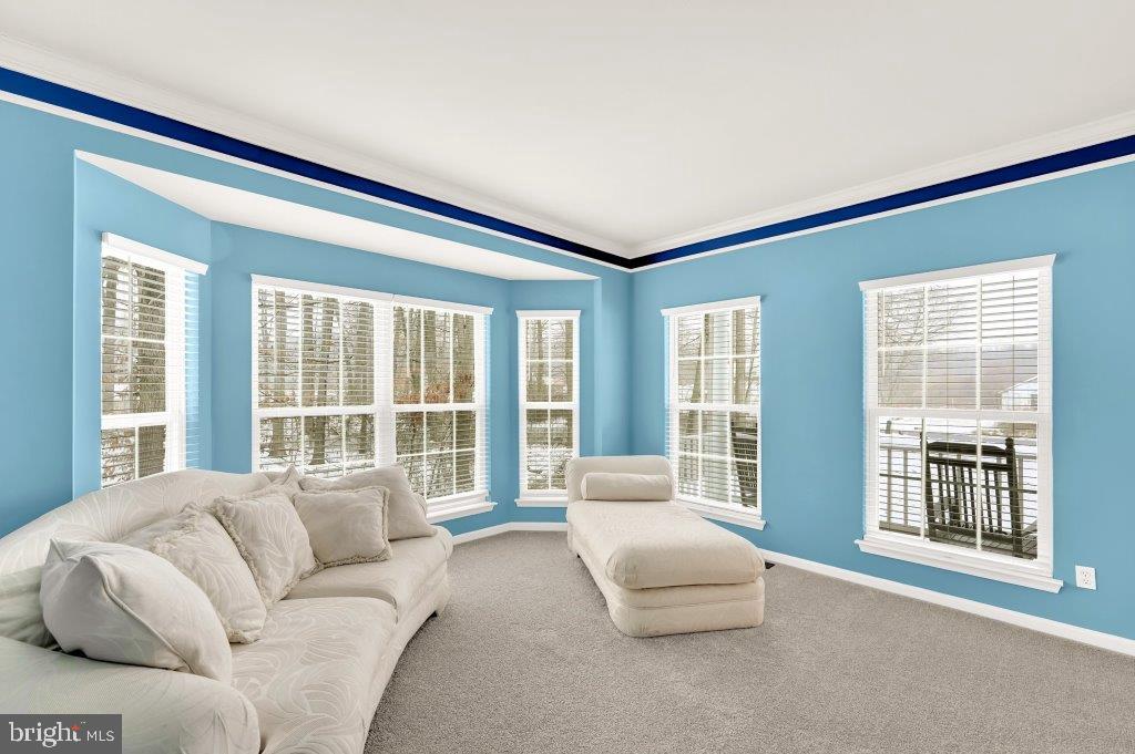 1719 Dixie Line Road Elkton, MD 21921 - Photo 11 of 30 Tons of Natural Light Streaming Through