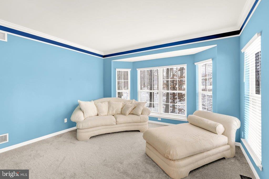 1719 Dixie Line Road Elkton, MD 21921 - Photo 10 of 30 Living Room with Tray Ceiling