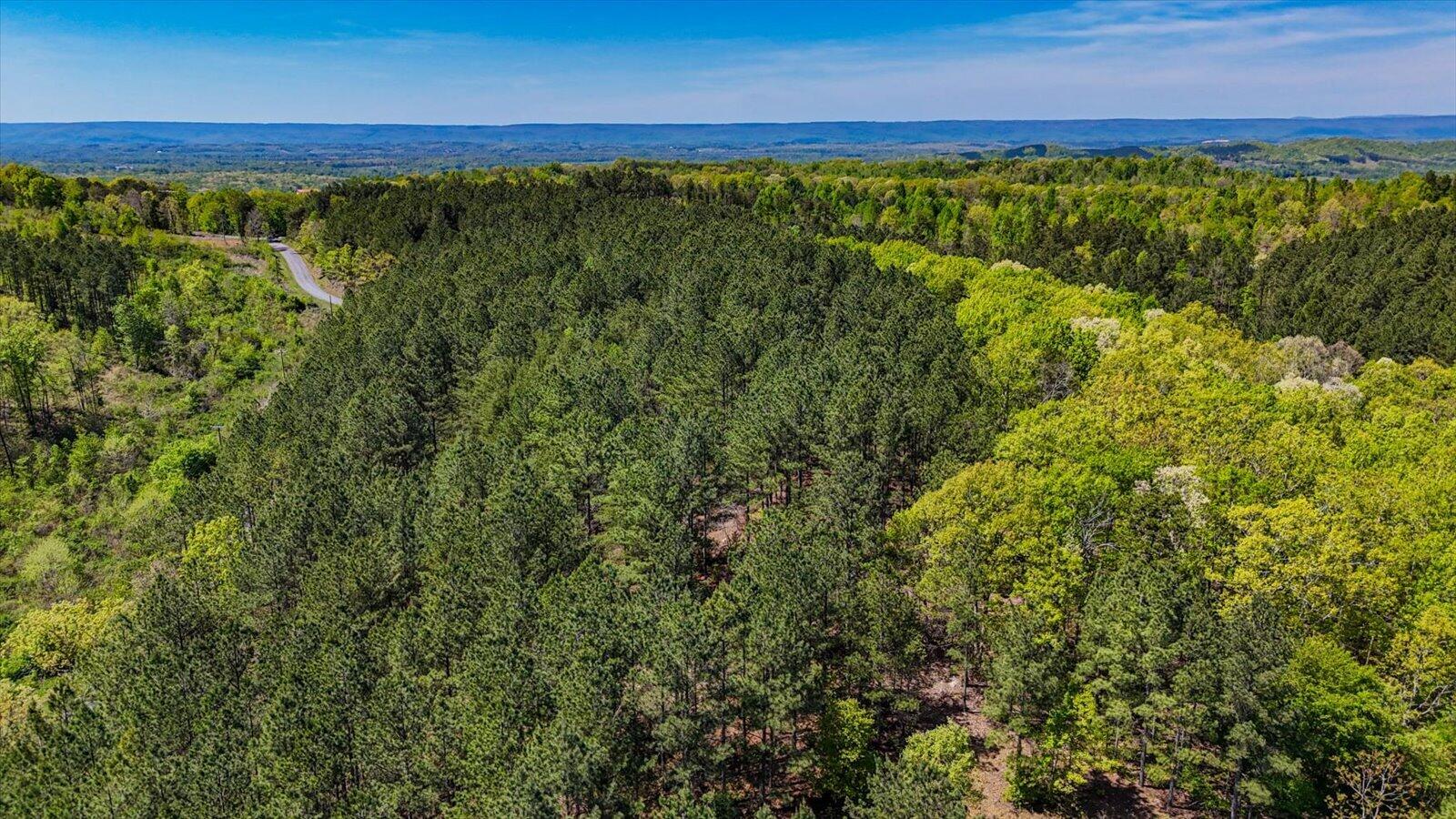 15.12-acre Rynes Road Decatur, TN 37322 - Photo 32 of 35 32-Cottonport Ridge Rd lot 2-15