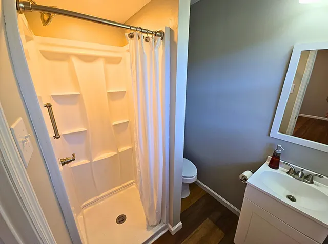 a bathroom with a shower and a toilet