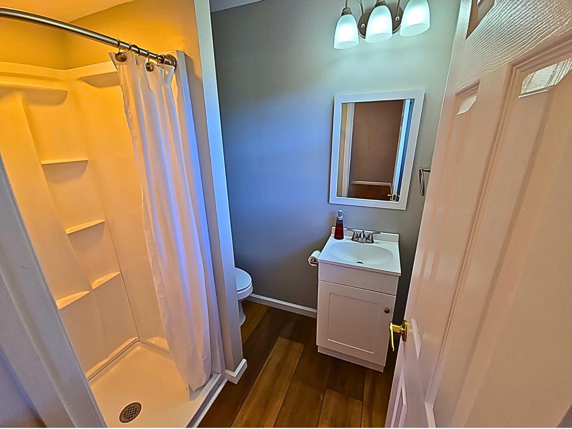 858 Main Street Decatur, TN 37322 - Photo 23 of 47 a bathroom with a sink a toilet and shower