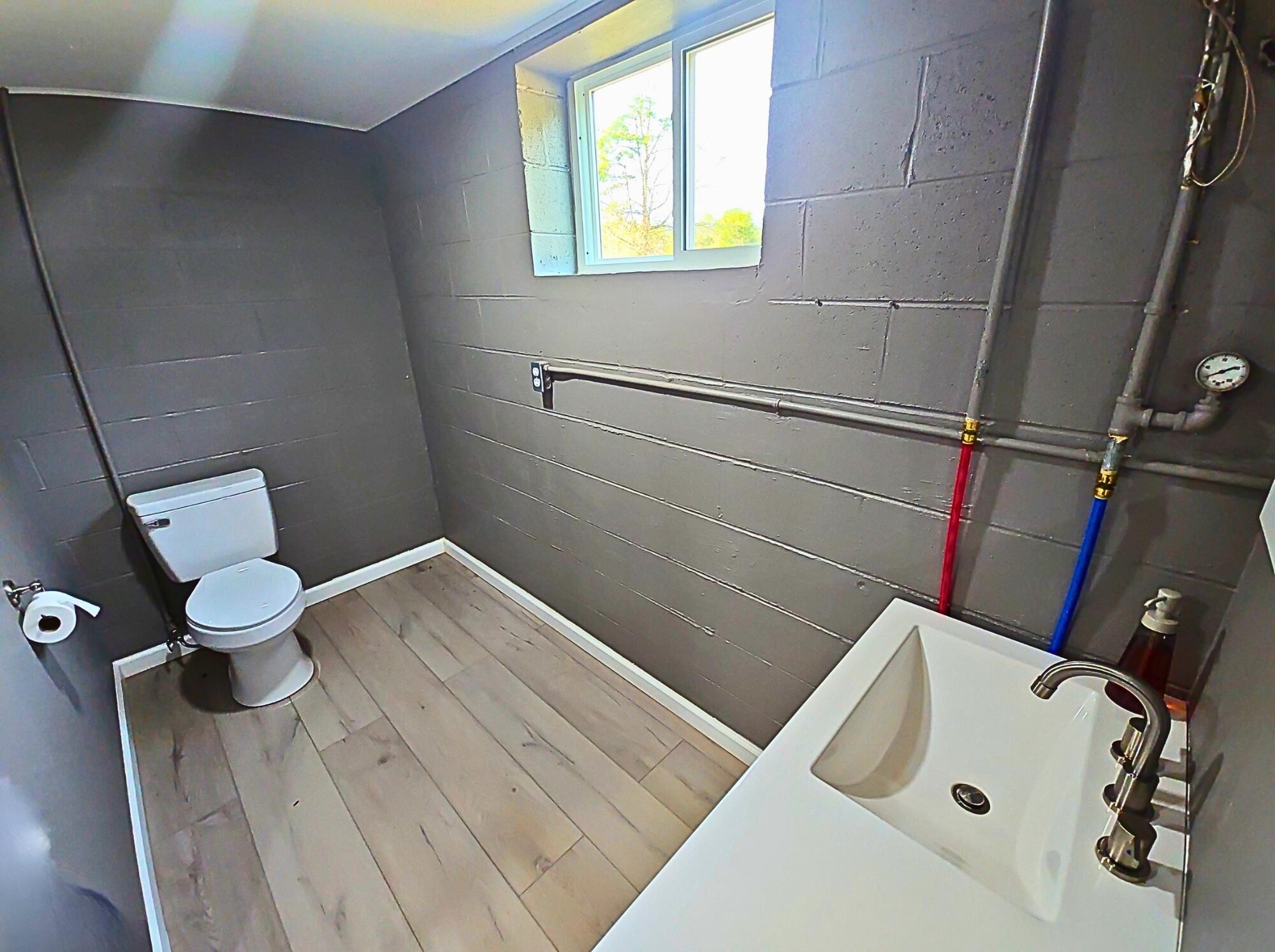 858 Main Street Decatur, TN 37322 - Photo 35 of 47 a bathroom with a sink and toilet