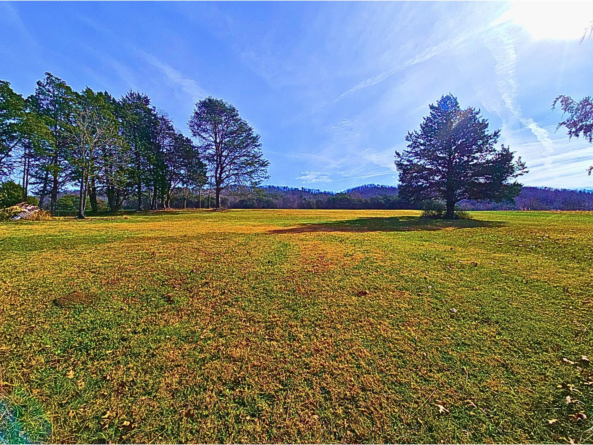 858 Main Street Decatur, TN 37322 - Photo 36 of 43