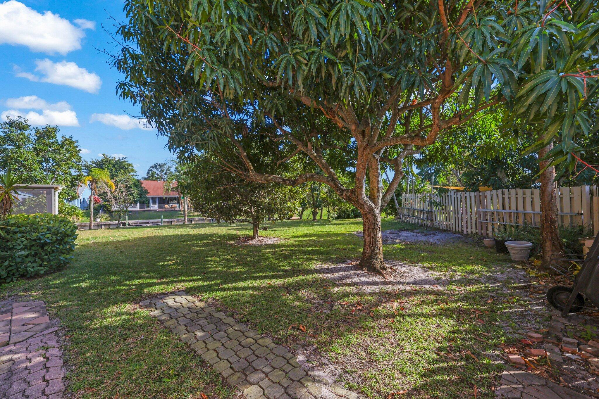 1235 Northwest 19th Terrace Delray Beach, FL 33445 - Photo 30 of 45 a view of backyard with tree