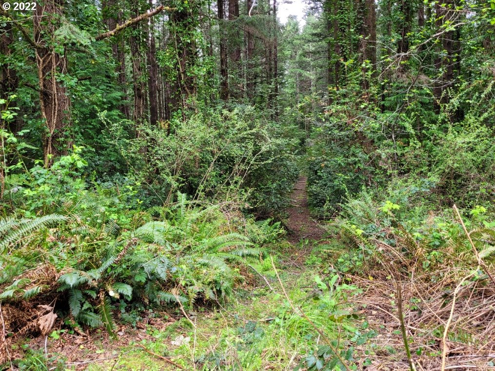 0 Orchard Road, Unit 2 Port Orford, OR 97465 - Photo 1 of 10 Gallery Image 1