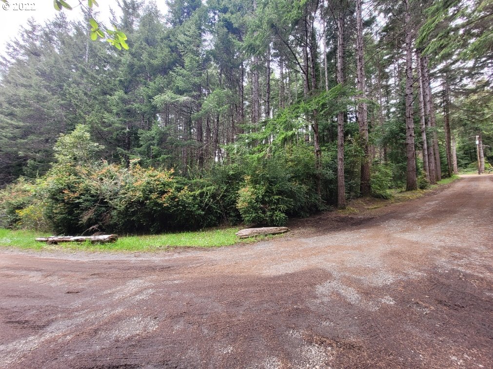 0 Orchard Road, Unit 2 Port Orford, OR 97465 - Photo 6 of 10 Gallery Image 6