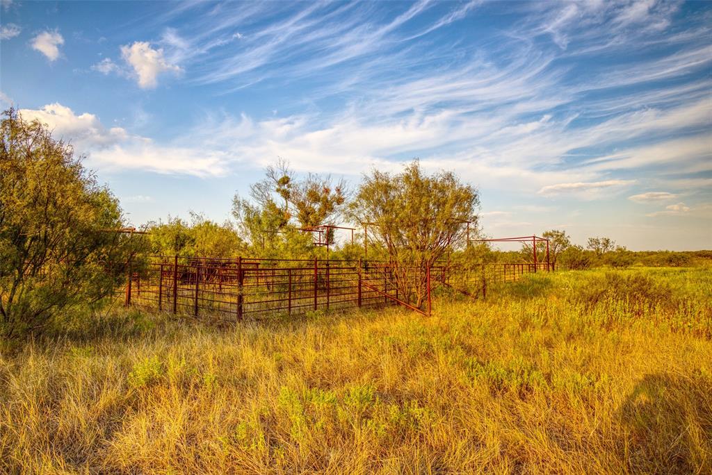 2525 Dodson Pr Road Gordon, TX 76453 - Photo 23 of 31 View of yard featuring a view of rural / pastoral area