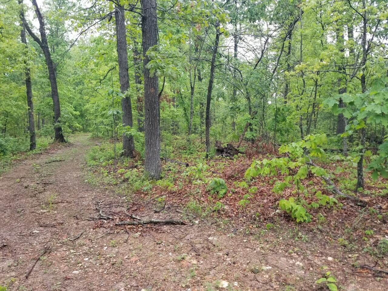 2 Town Hollow Road Anderson, MO 64831 - Photo 1 of 1 thumbnail_20230504_151225