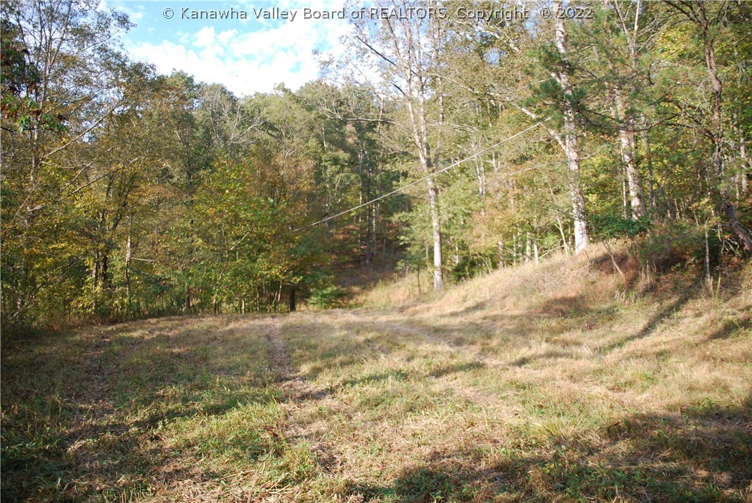 1755 Doc Casto Road Leon, WV 25123 - Photo 11 of 32 Gallery Image 11