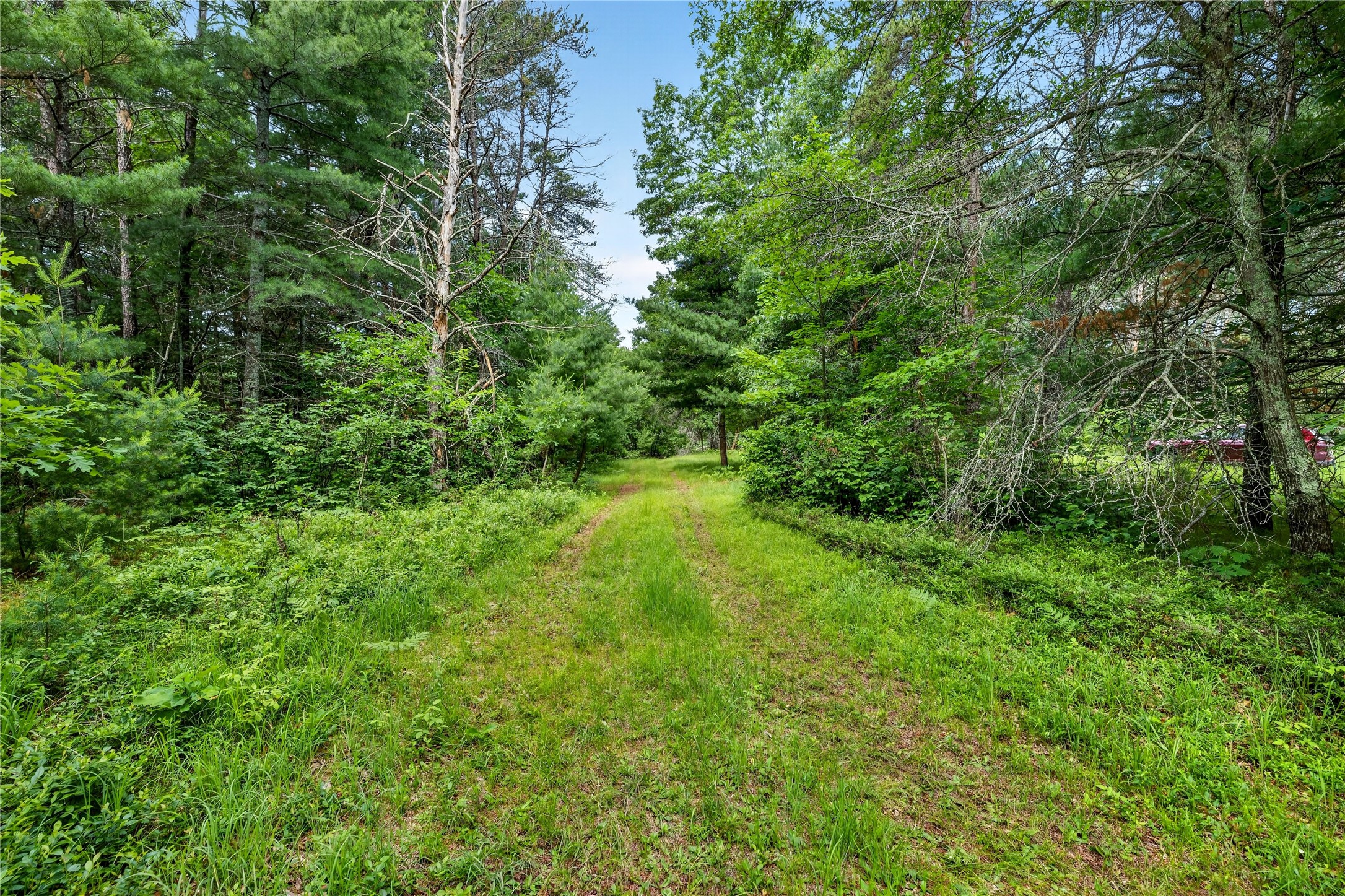 0 Loon Lake Road Spooner, WI 54801 - Photo 10 of 18