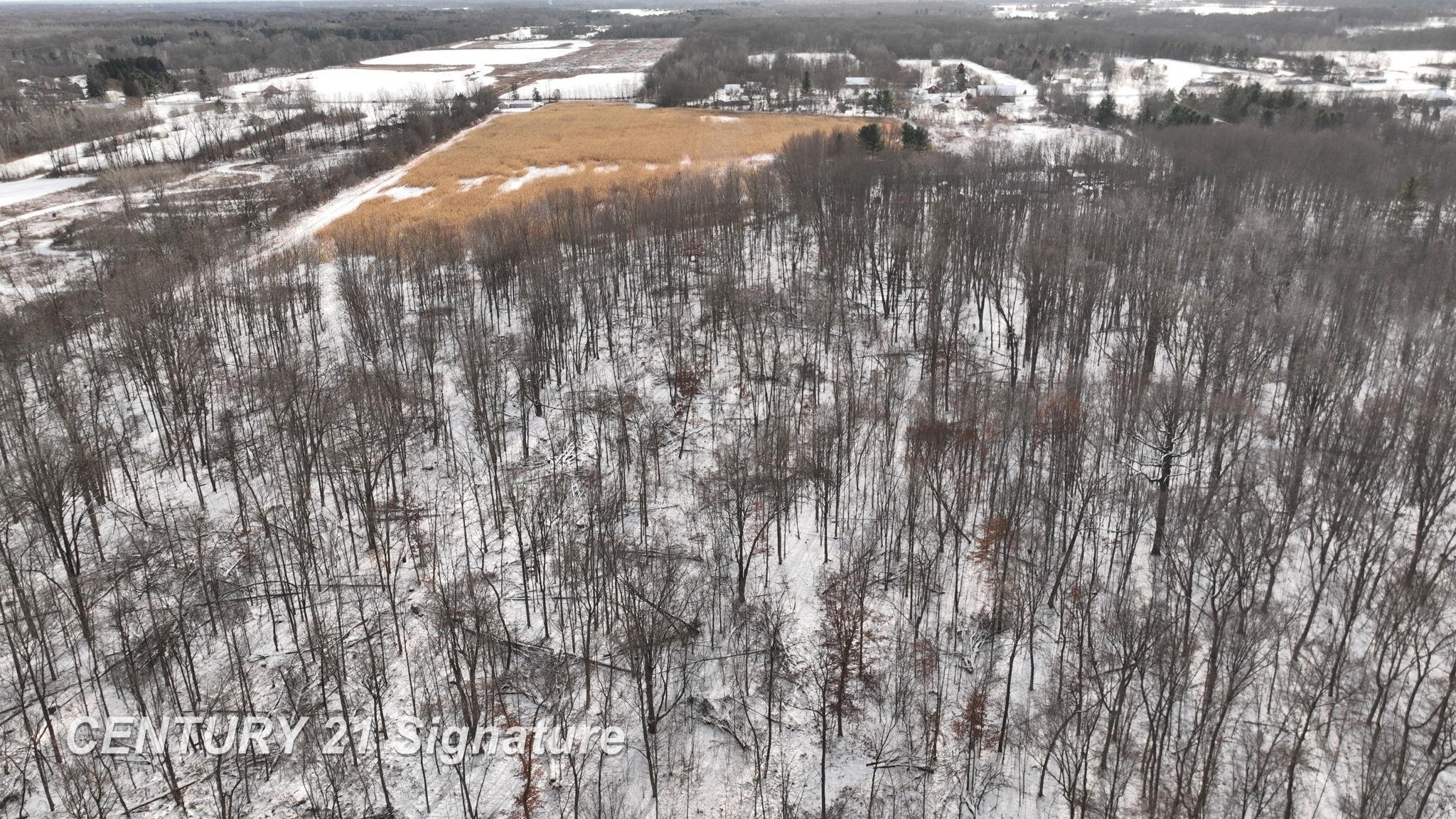-vl West Dodge Road Clio, MI 48420 - Photo 17 of 24 Gallery Image 17