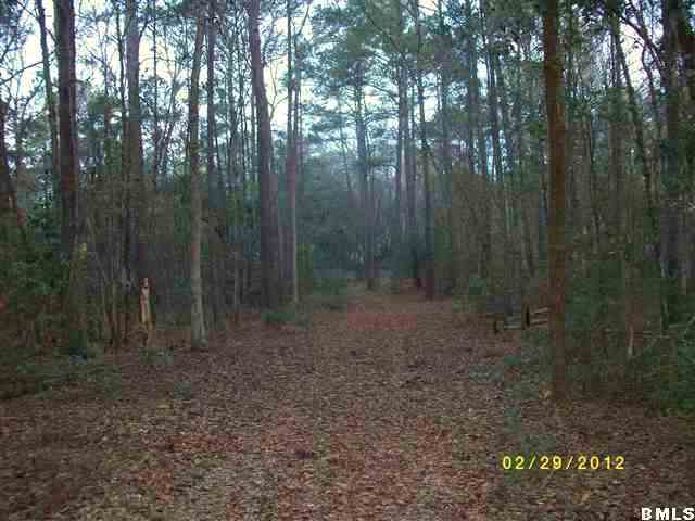 220 Sams Point Road Beaufort, SC 29907 - Photo 1 of 16 Primary Photo