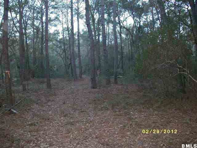 220 Sams Point Road Beaufort, SC 29907 - Photo 4 of 16 Additional Photo