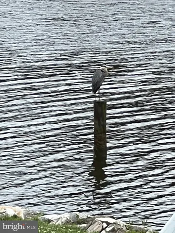 $825,000 | 38884 Collinwood Drive, Abell, MD 20606