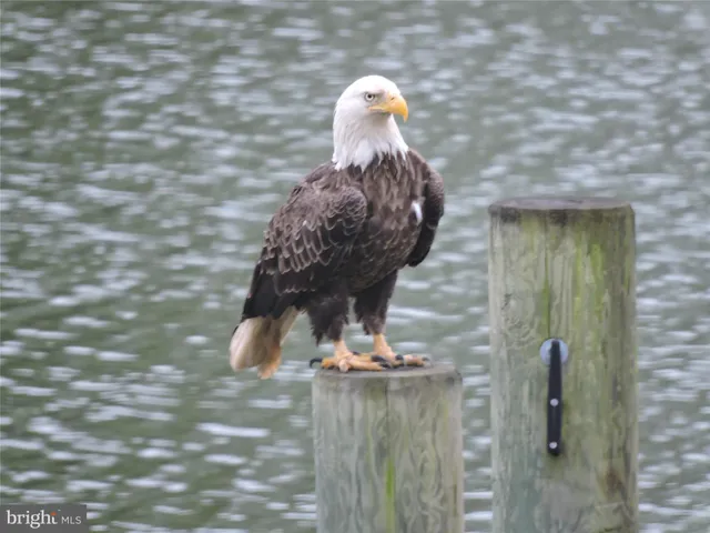 $825,000 | 38884 Collinwood Drive, Abell, MD 20606