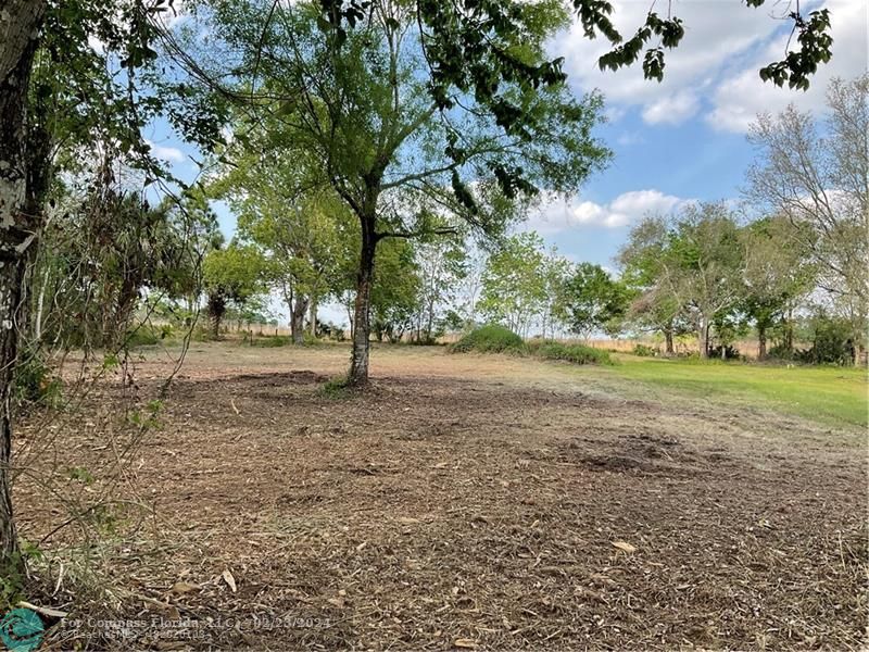 0 Northeast 138th St  