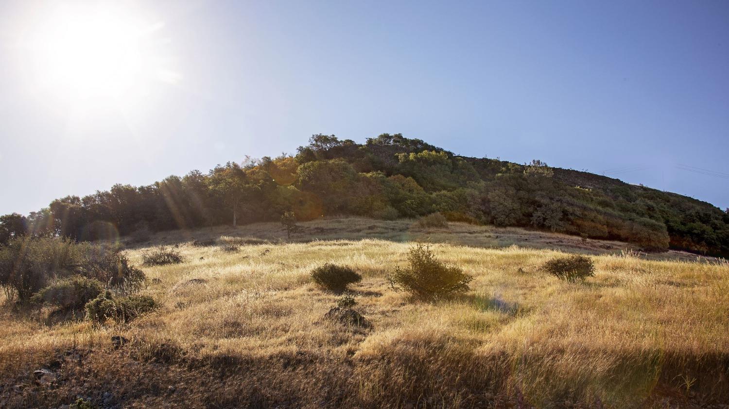 0 Shell Road Jamestown, CA 95327 - Photo 13 of 53 Gallery Image 13