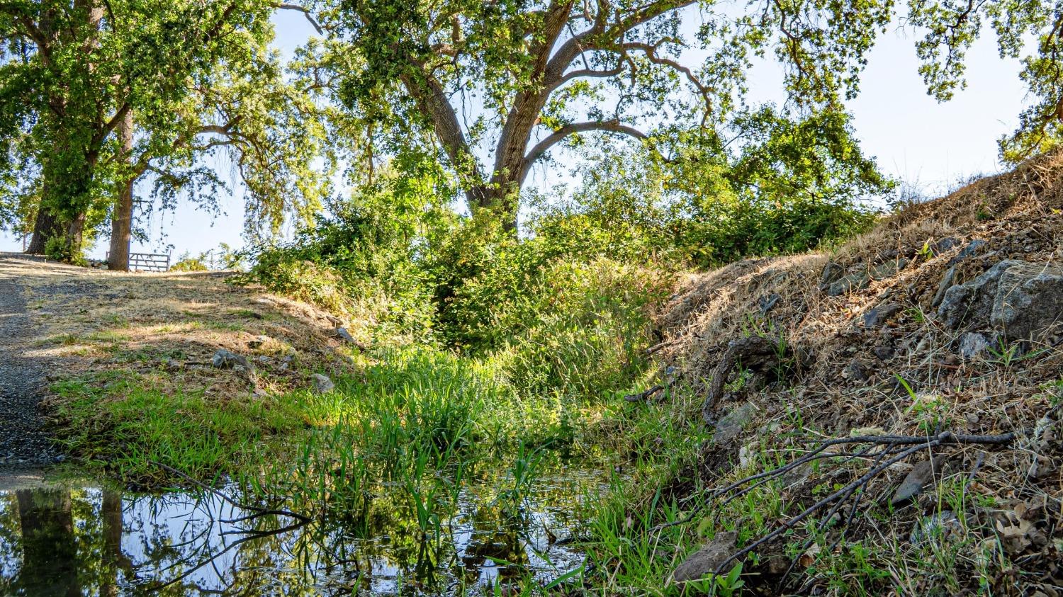 0 Shell Road Jamestown, CA 95327 - Photo 14 of 53 Gallery Image 14