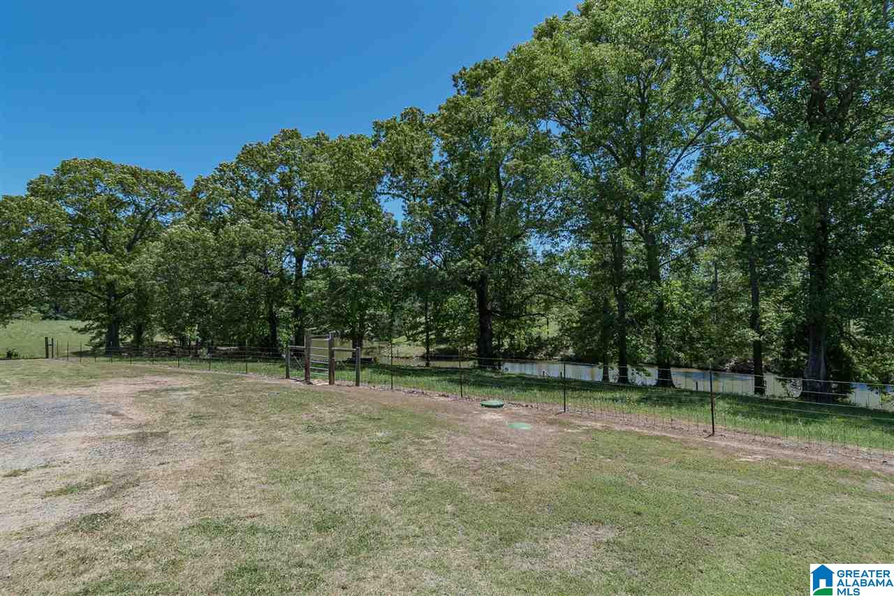 3684 Pine Mountain Road Remlap, AL 35133 - Photo 33 of 40