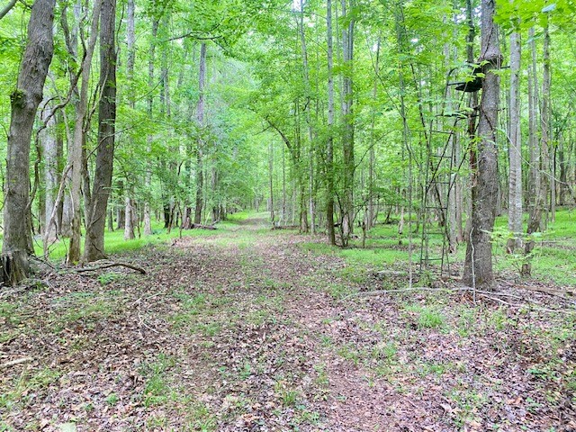 0 Pete Johnson Road Tignall, GA 30668 - Photo 34 of 43