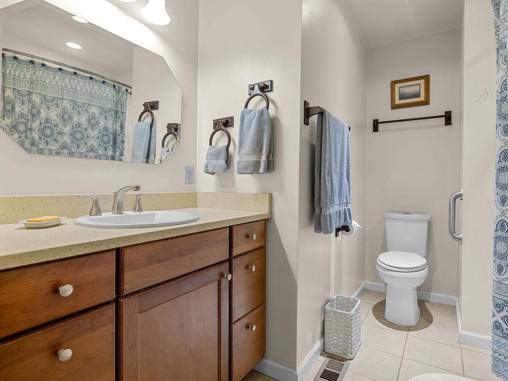 160 Caledonia Road Landrum, SC 29356 - Photo 21 of 49 Primary en-suite bathroom