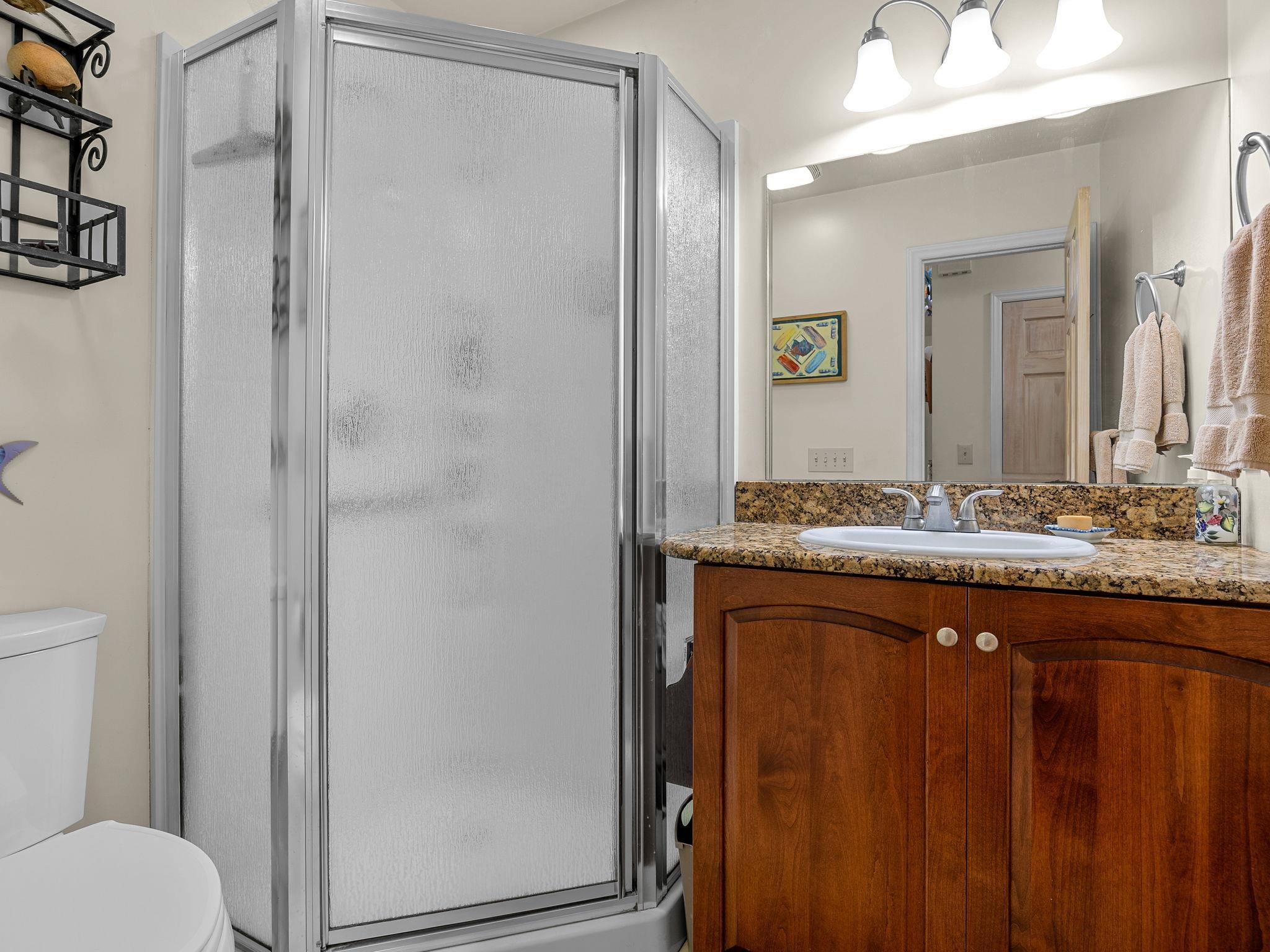 160 Caledonia Road Landrum, SC 29356 - Photo 24 of 49 Guest bathroom