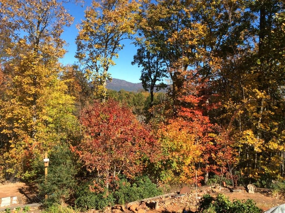 160 Caledonia Road Landrum, SC 29356 - Photo 37 of 49 Views improve when leaves fall