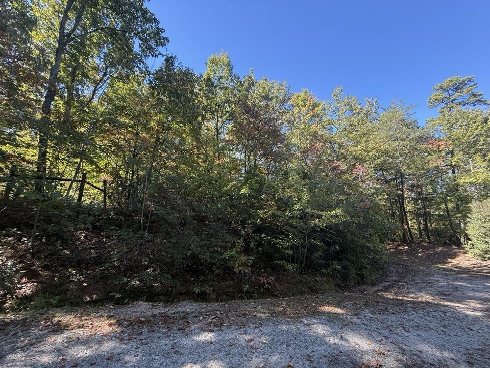 160 Caledonia Road Landrum, SC 29356 - Photo 43 of 49 Additional .26 ac parcel