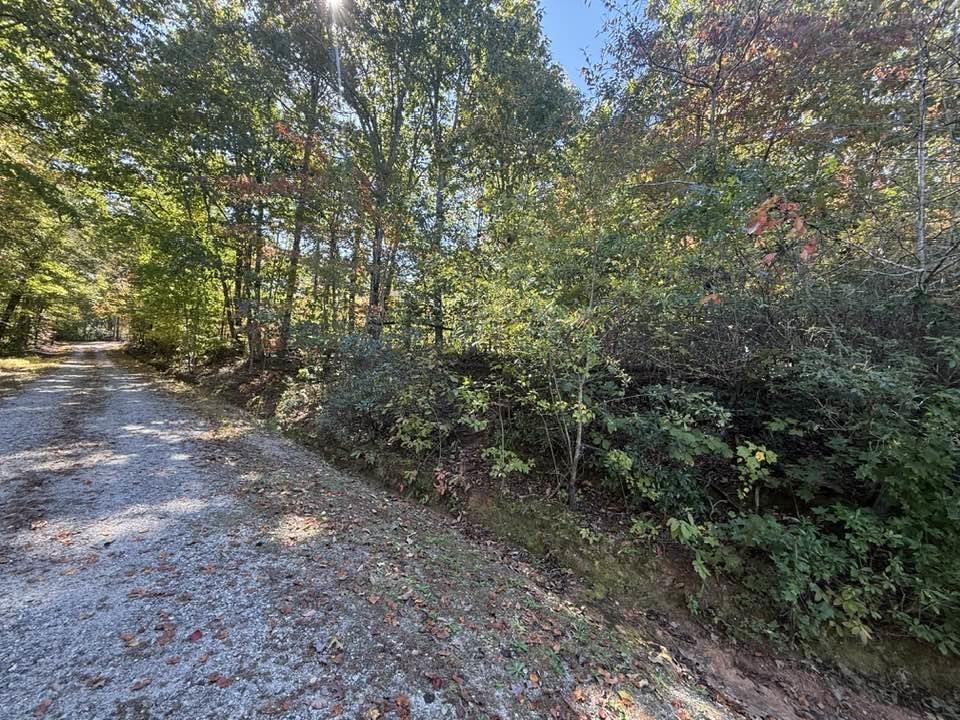 160 Caledonia Road Landrum, SC 29356 - Photo 46 of 49 Side view of .26 ac parcel