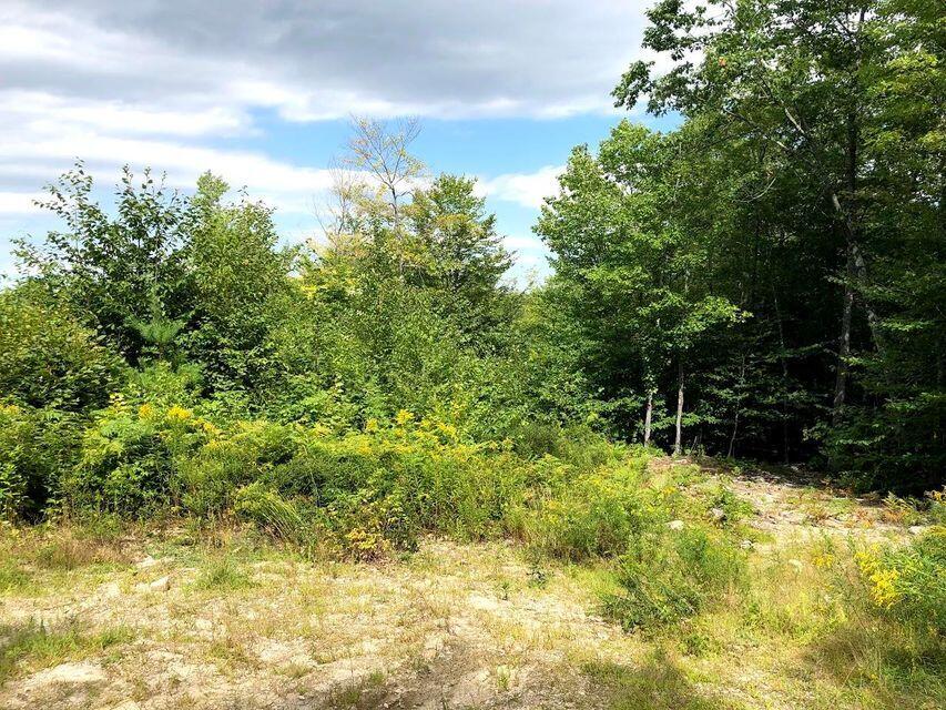 Tbd Old Elder Road Gray, ME 04039 - Photo 9 of 9 20190902130025446732000000-o