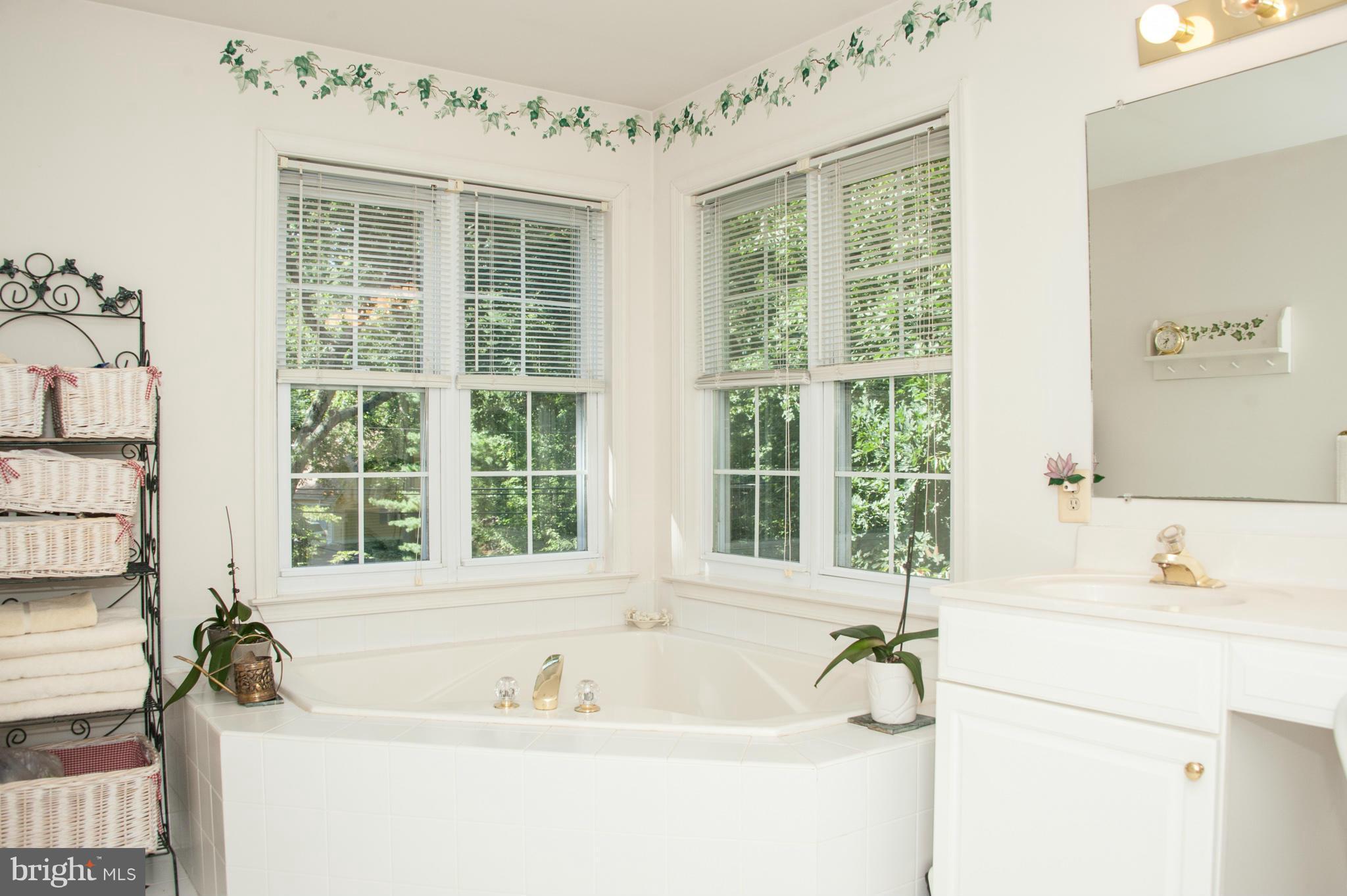 1010 Old Bay Ridge Road Annapolis, MD 21403 - Photo 13 of 30 Bath (Master)