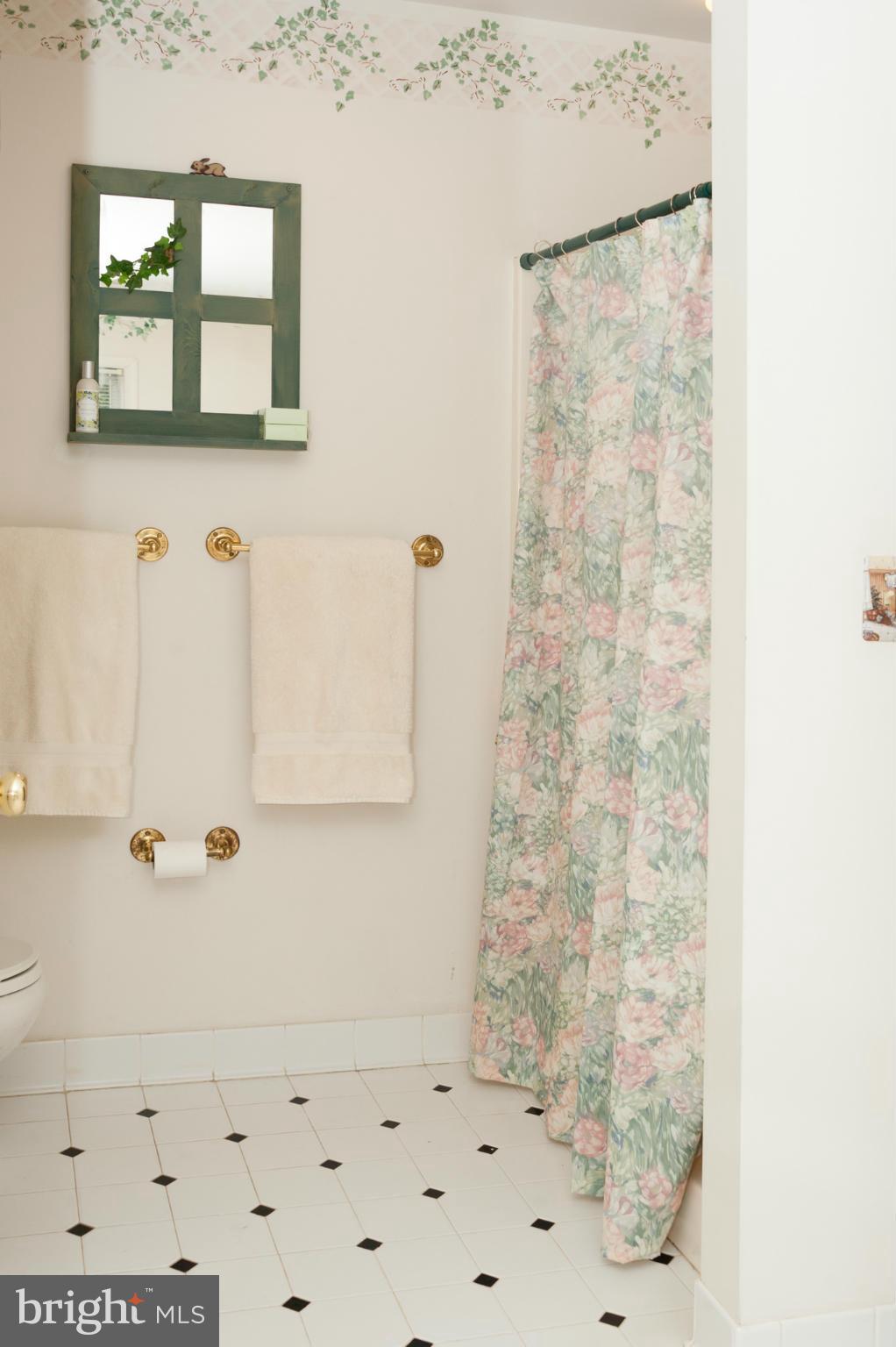 1010 Old Bay Ridge Road Annapolis, MD 21403 - Photo 15 of 30 Bath (Master)