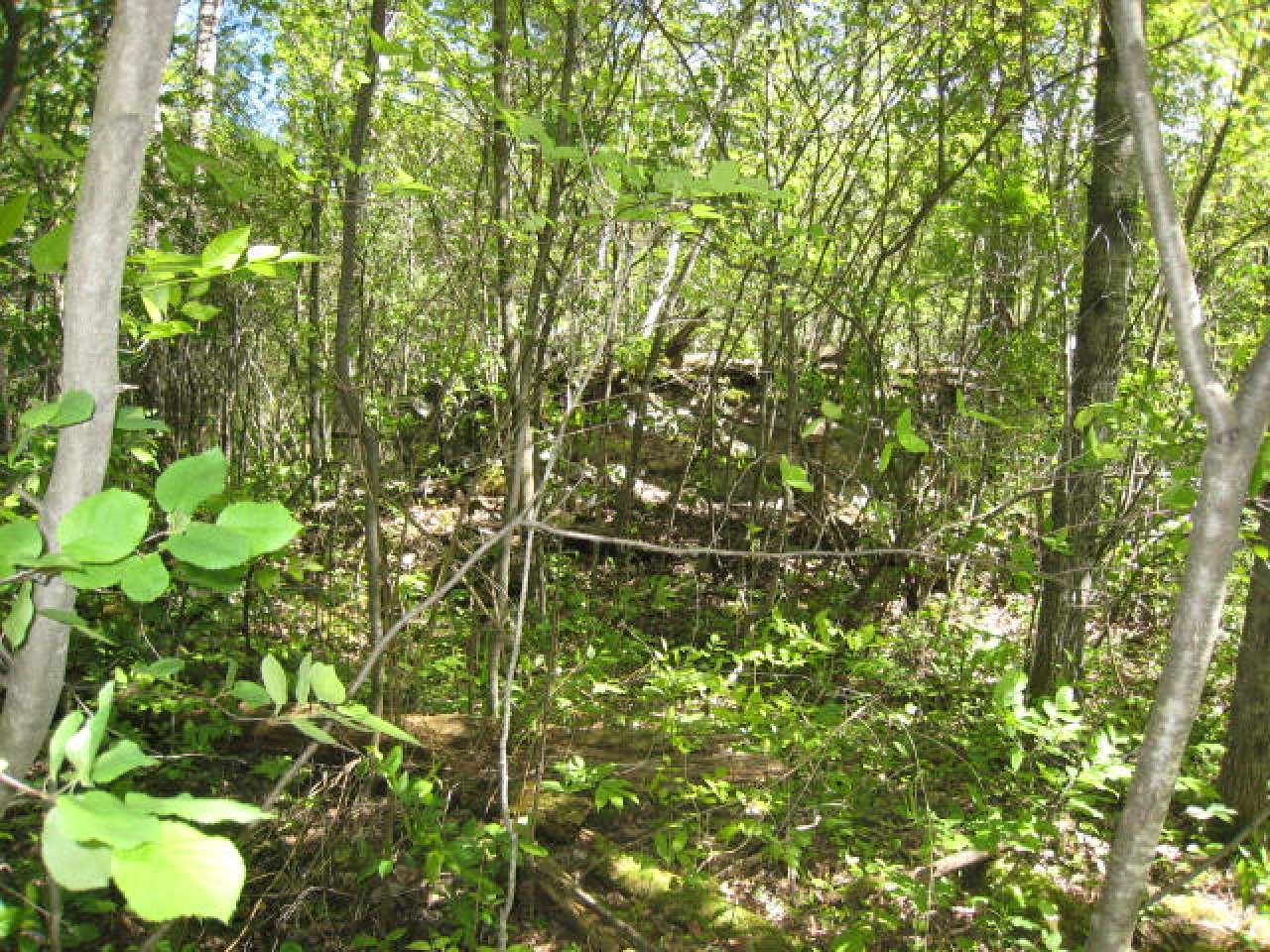 8 Rhinelander Wi 54501 Rhinelander, WI 54501 - Photo 5 of 6 Gallery Image 5
