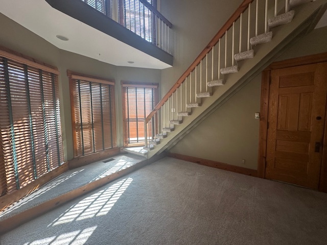230 Comstock Street, Unit 1 Joliet, IL 60436 - Photo 20 of 20 a view of an entryway with staircase
