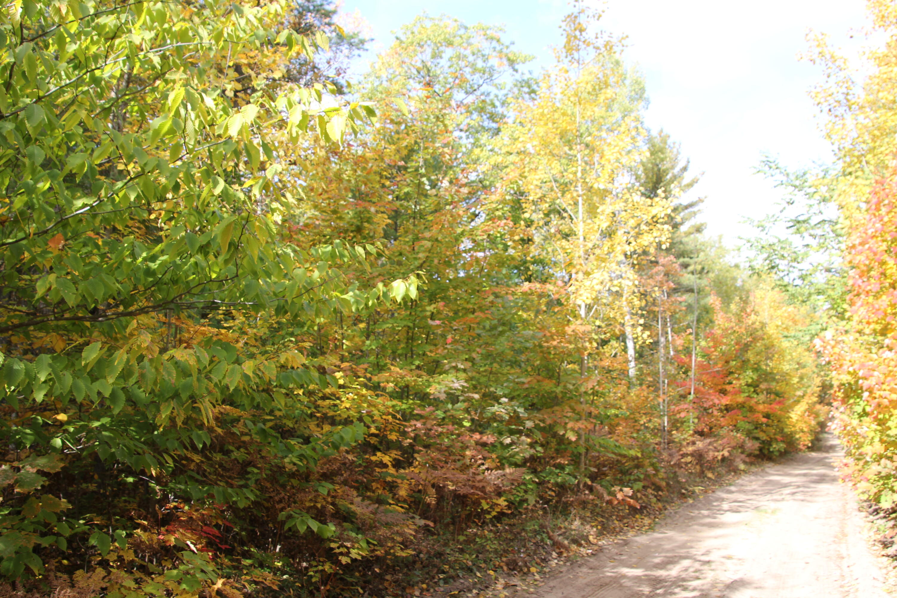Mccormick Road Cheboygan, MI 49721 - Photo 17 of 19 Gallery Image 17