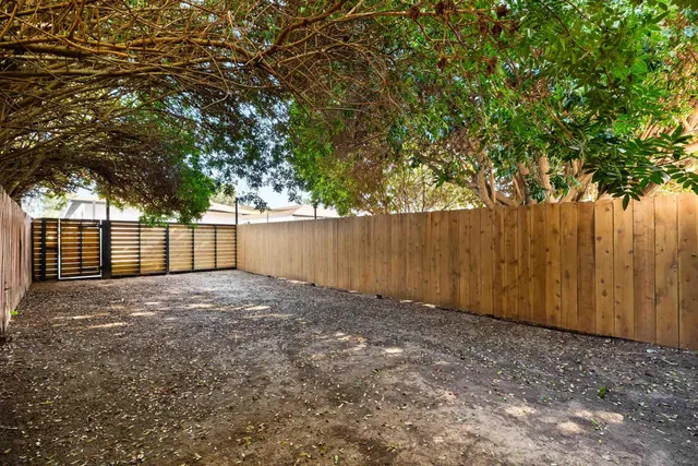 a view of backyard and tree