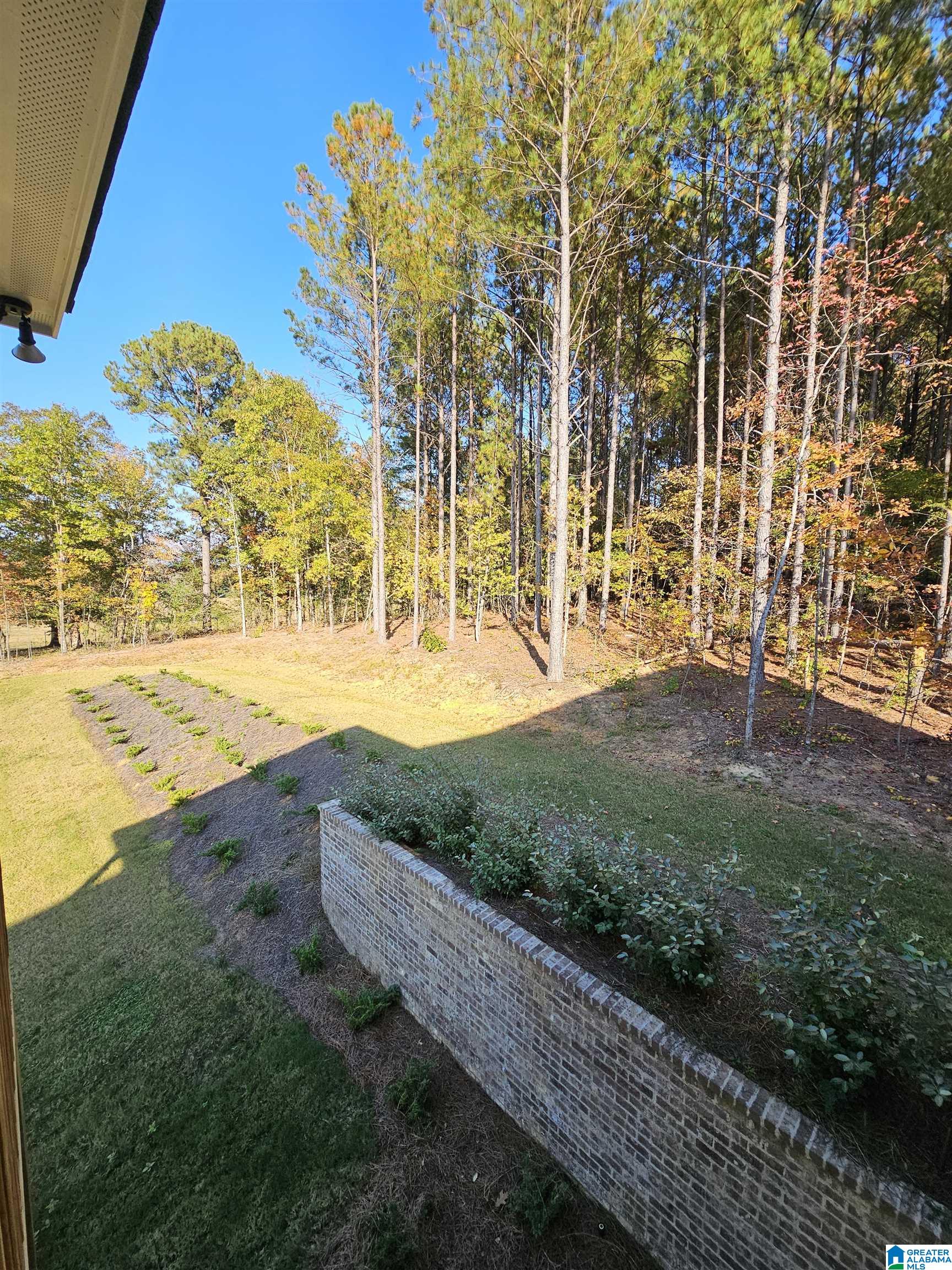 875 Chelsea Park Road Chelsea, AL 35043 - Photo 32 of 65