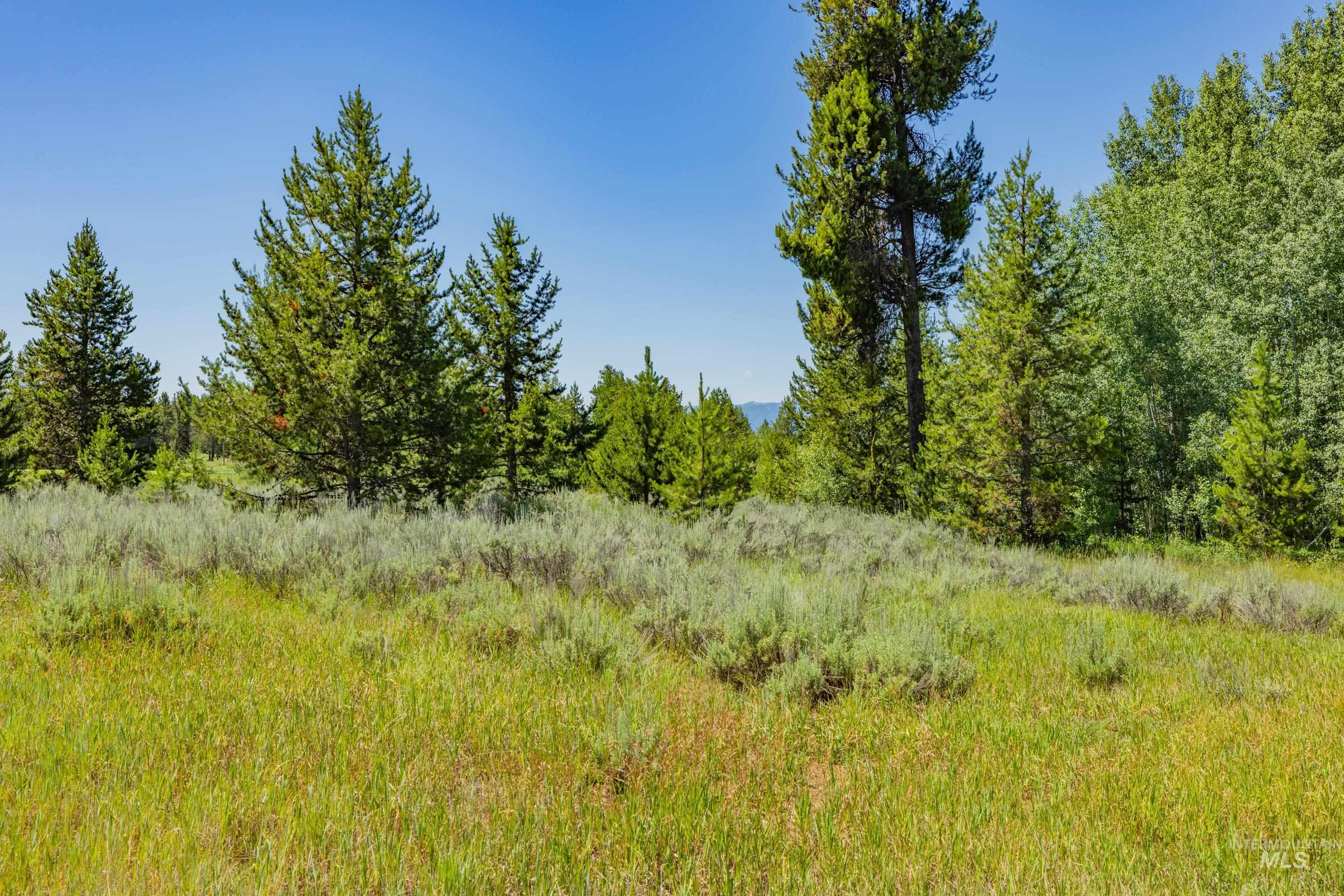 241 West Jug Road McCall, ID 83638 - Photo 20 of 35
