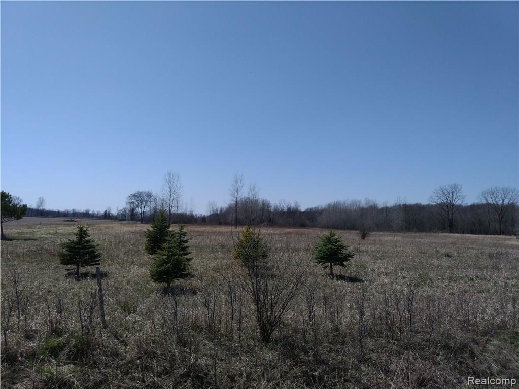 10 A Mason Road Yale, MI 48097 - Photo 8 of 8