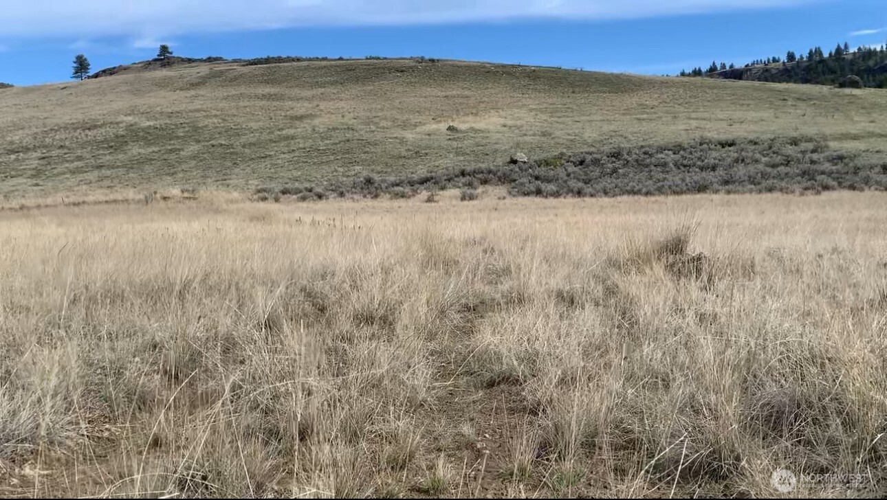 0 Road 20 Nw Or Peach Road Mansfield, WA 98830 - Photo 13 of 18 a view of beach and ocean