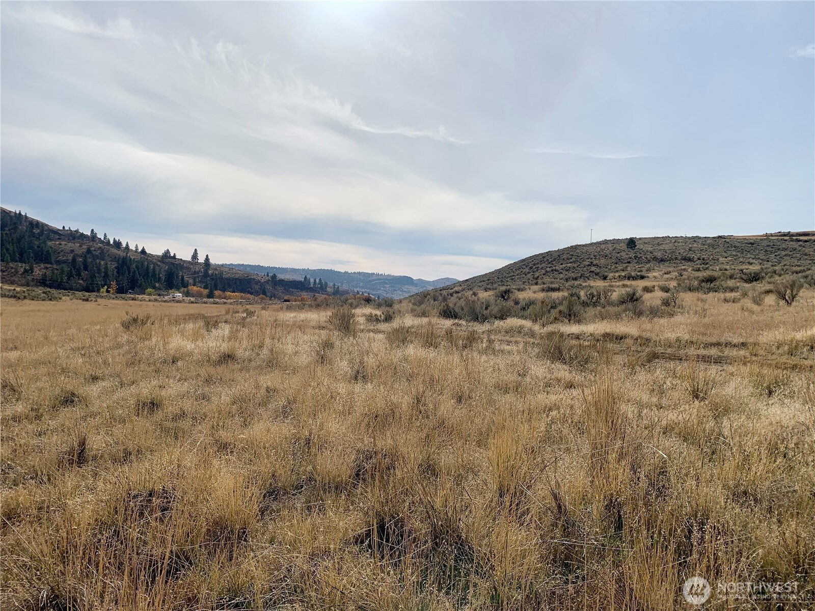 0 Road 20 Nw Or Peach Road Mansfield, WA 98830 - Photo 7 of 18 a view of a field and mountains in the background