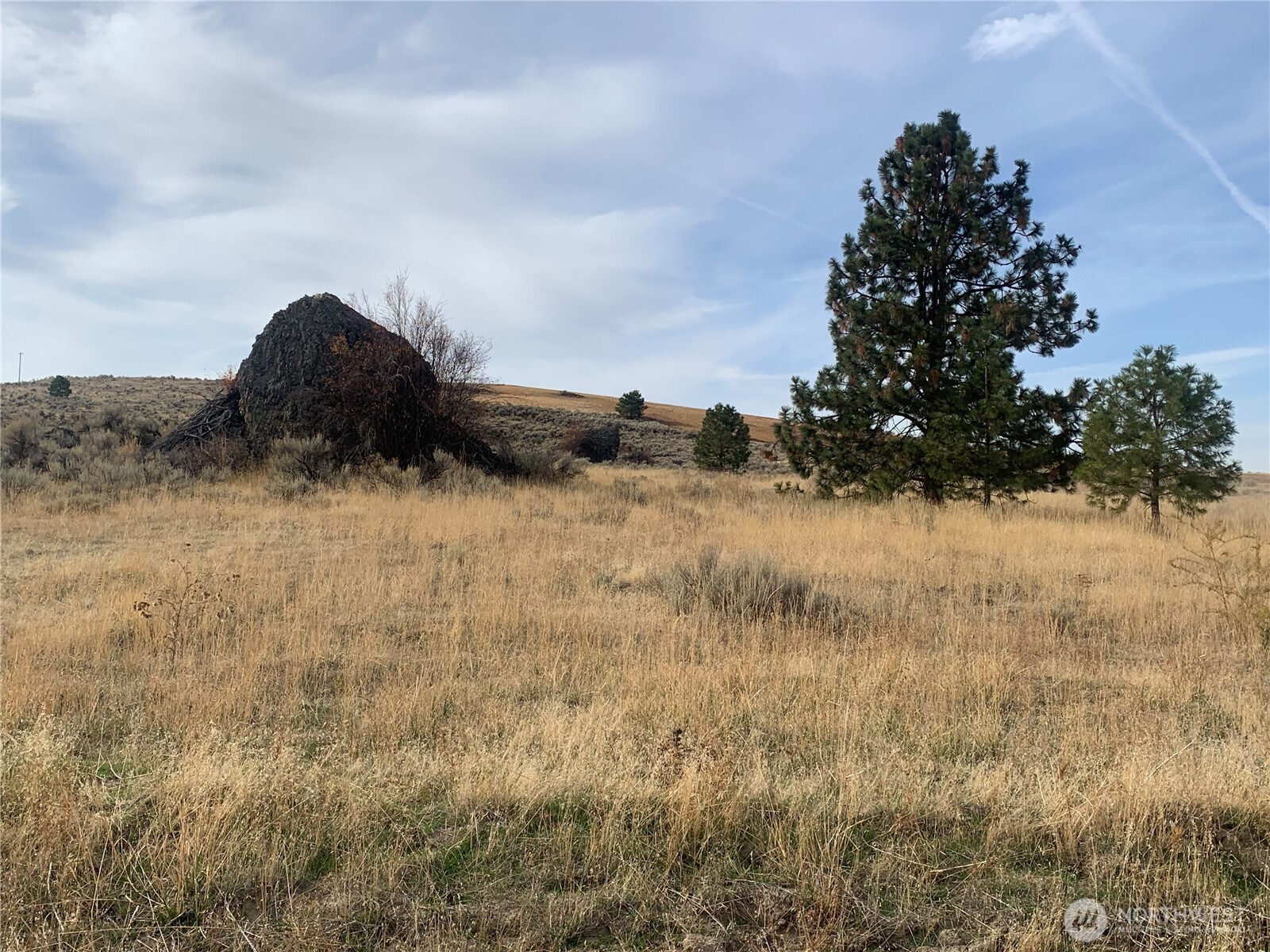 0 Road 20 Nw Or Peach Road Mansfield, WA 98830 - Photo 9 of 18