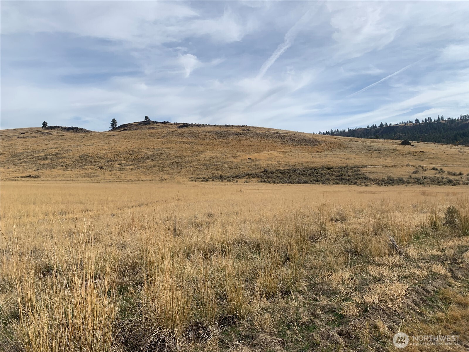 0 Road 20 Nw Or Peach Road Mansfield, WA 98830 - Photo 10 of 18 a view of ocean view with mountain