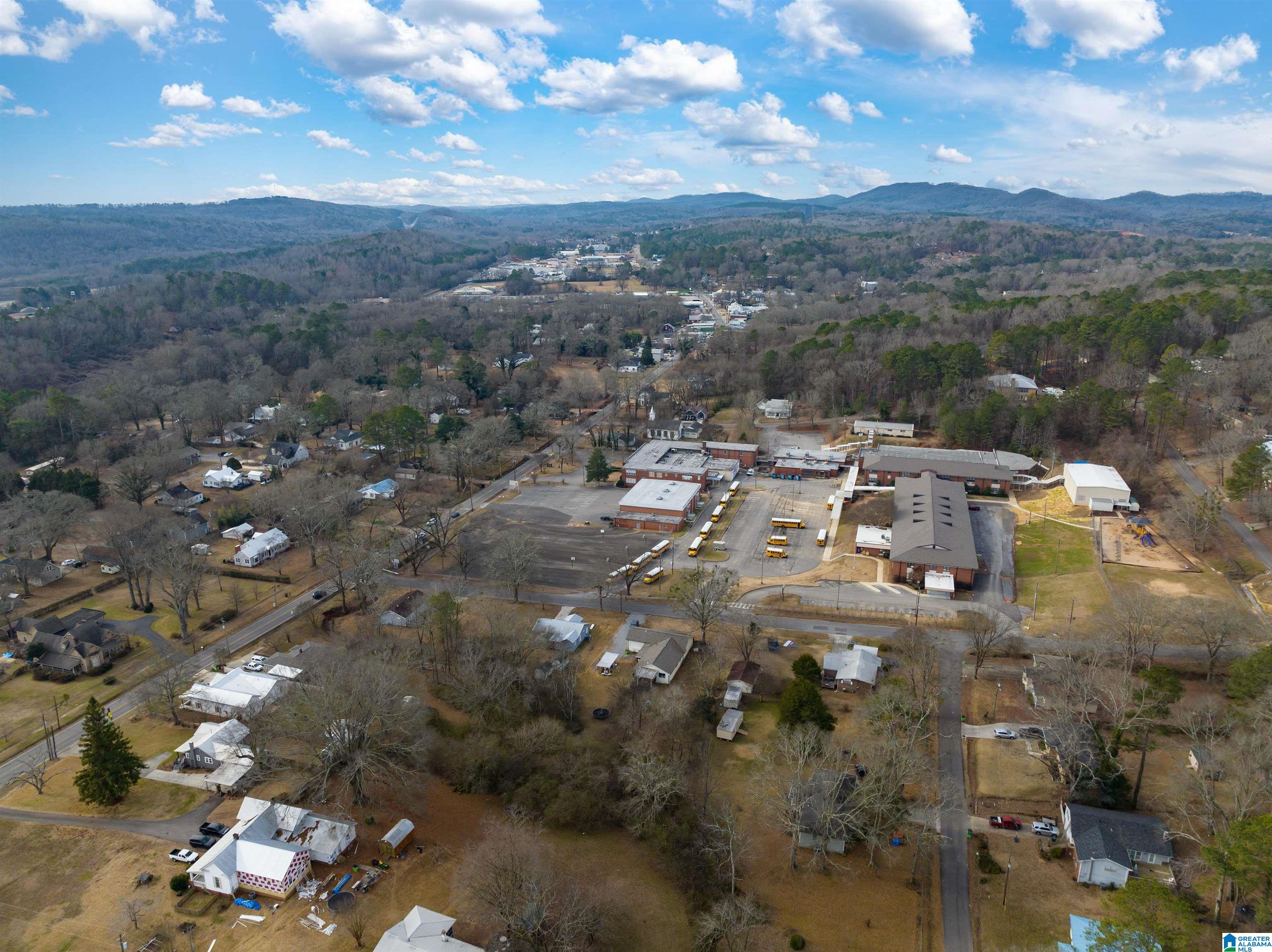 21 Bruce Street Springville, AL 35146 - Photo 37 of 43