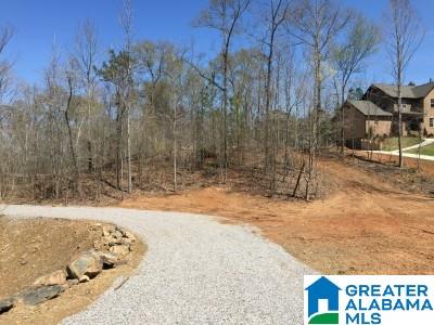 321 Camp Forrest Trail, Unit 772 Helena, AL 35080 - Photo 4 of 10