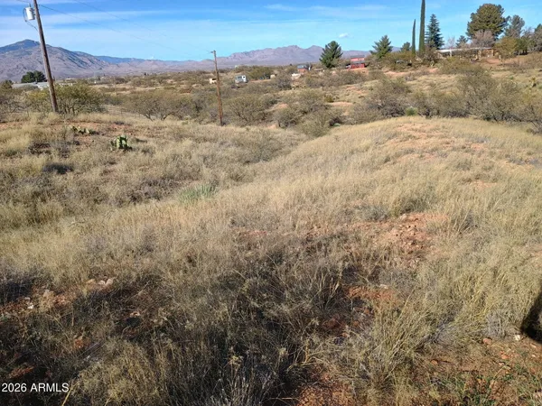 a view of a yard
