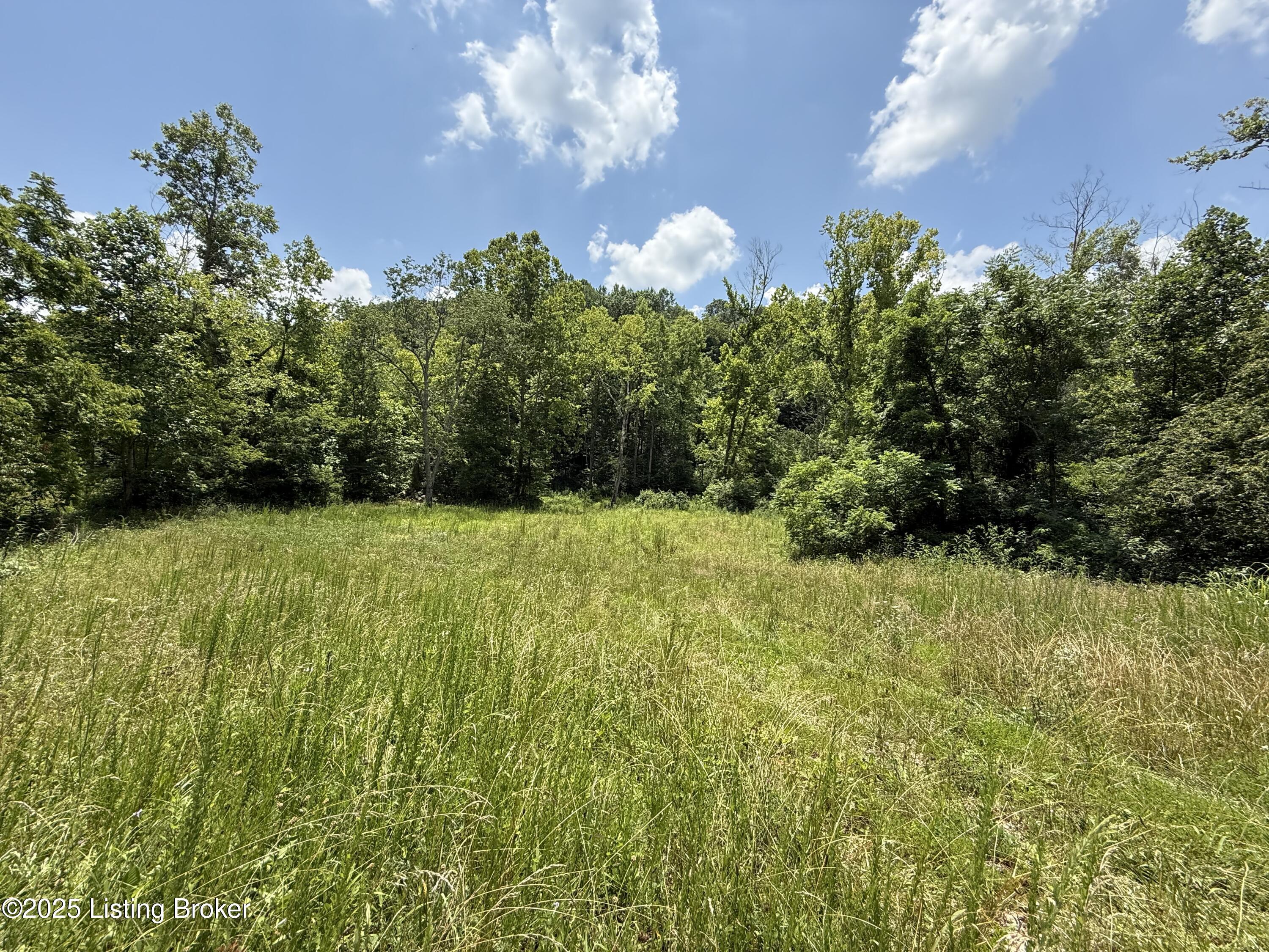 0 East Marks Ridge Road Harned, KY 40144 - Photo 23 of 32 IMG_1231
