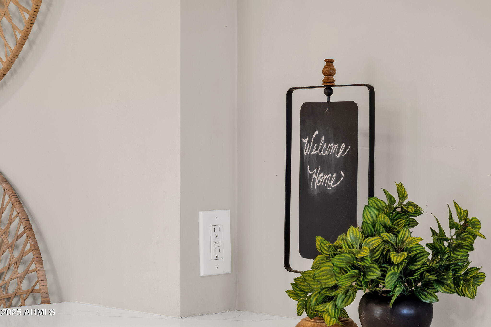 2276 East Mercer Lane Phoenix, AZ 85028 - Photo 25 of 61 a close up of a potted plant