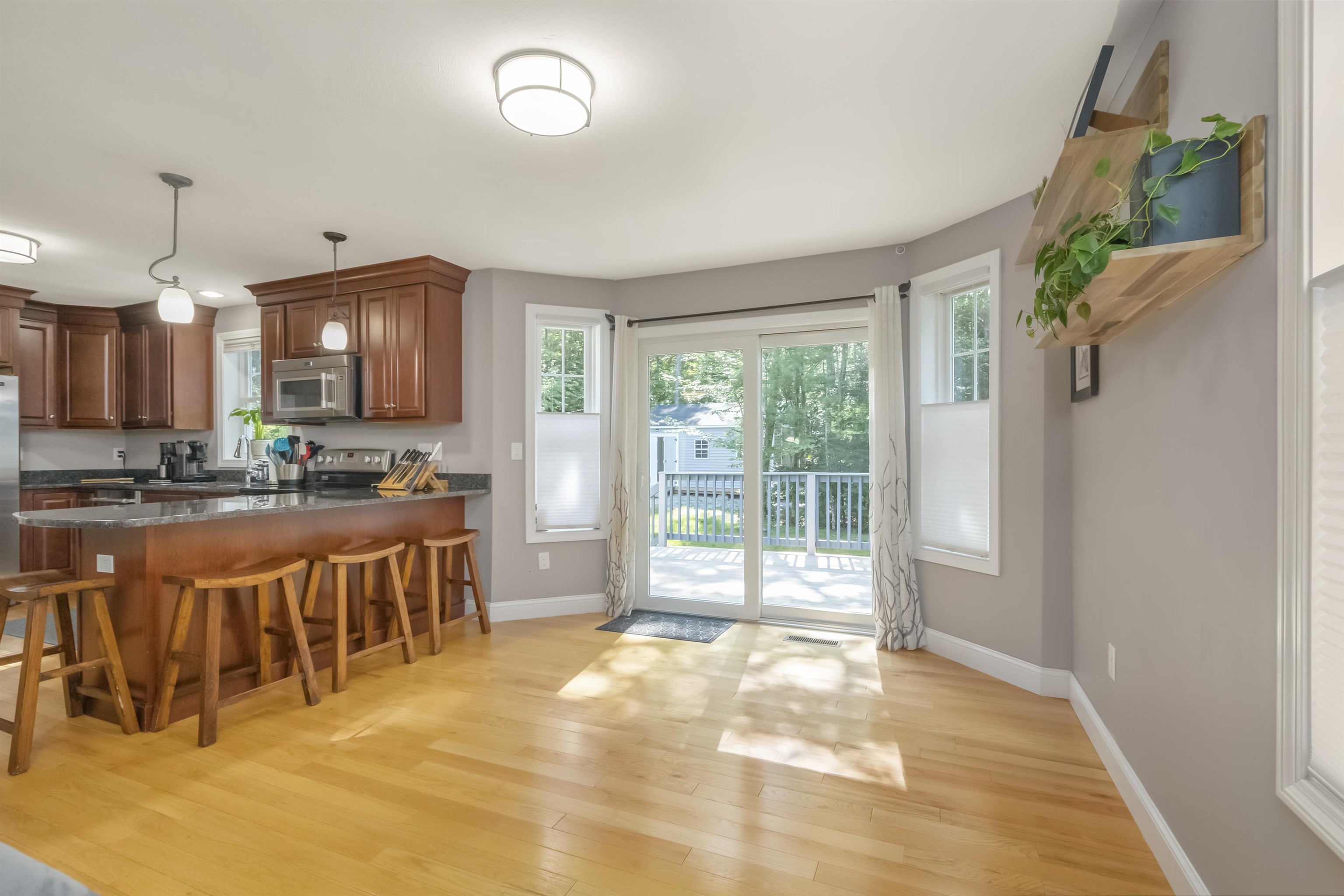 228 Mt Delight Road Deerfield, NH 03037 - Photo 6 of 34