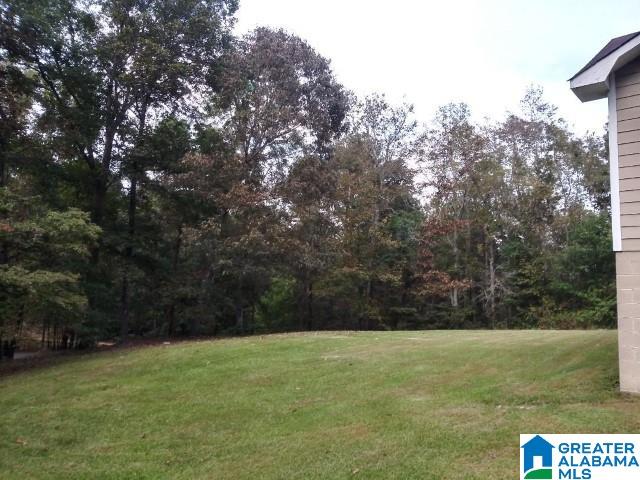 375 Hoover Road Odenville, AL 35120 - Photo 11 of 29